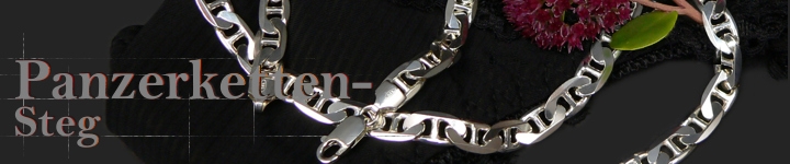 Panzerketten Silber Typ-Steg  