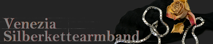 Panzerkette Armband Typ-Zwilling  