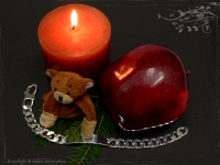 ID Panzerarmband Gravur-Platte B10.5L21 