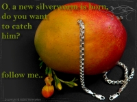 Silberkette Armband Venezia Ru B5.3L20