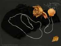 Silberkette Venezia Ru B1.5L55