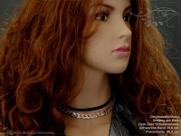 Panzerkette B10.0L70