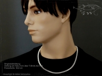 Panzerkette B5.0L80s