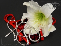 Schlangenkette oval D4.5L45