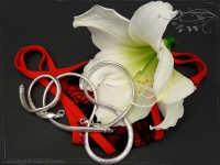 Schlangenkette oval D6.0L50 